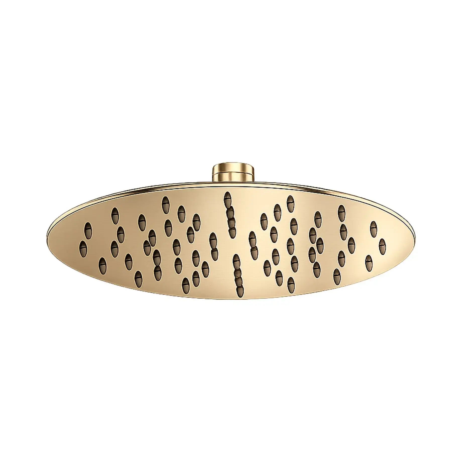 Верхній душ TRIBUTO 250 мм Antoniolupi XTRD25PVDS Ottone sp Brushed Brass — вид на білому тлі