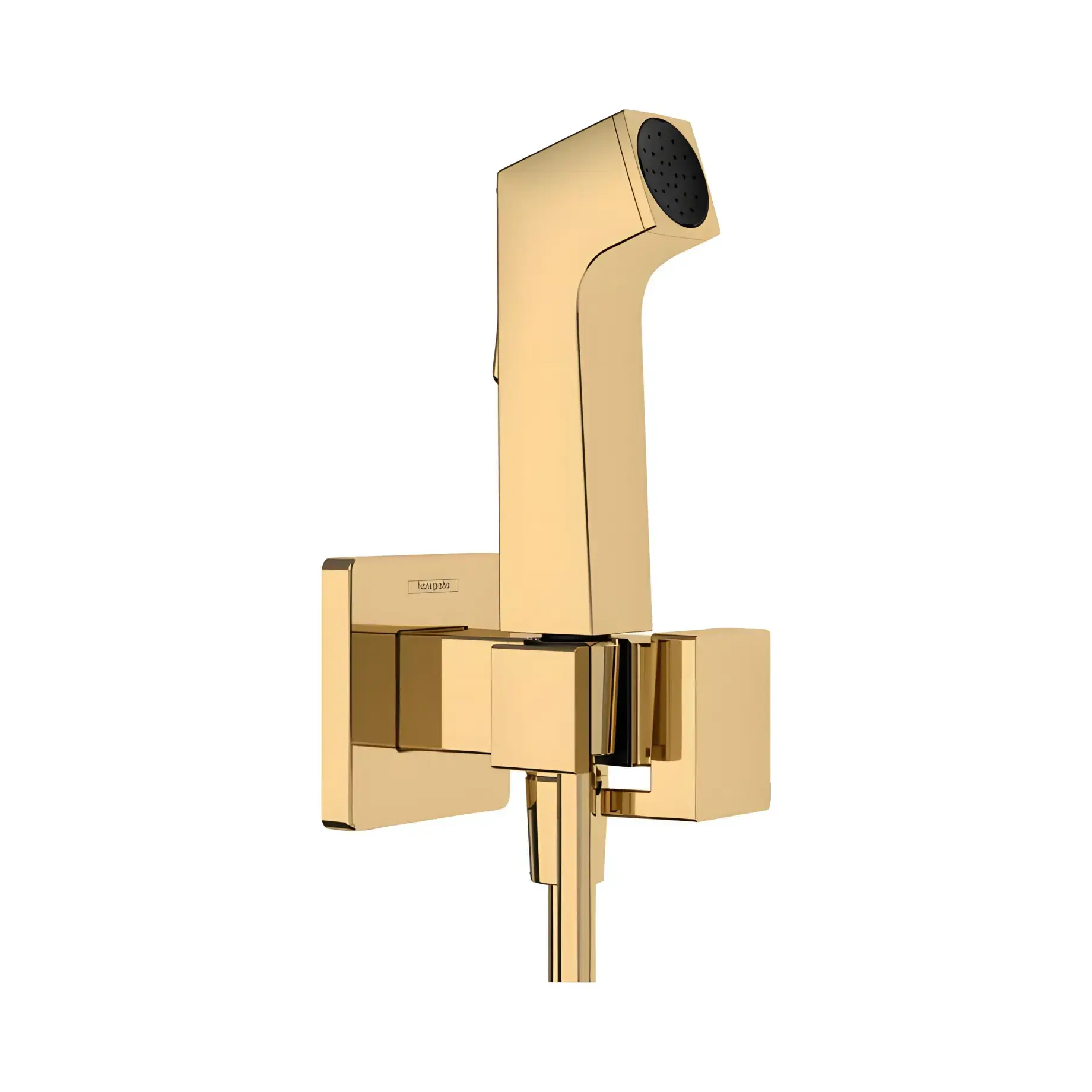 Гігієнічний душ Bidette 1jet E Hansgrohe 29233990 Polished Gold Optic — вид на білому тлі