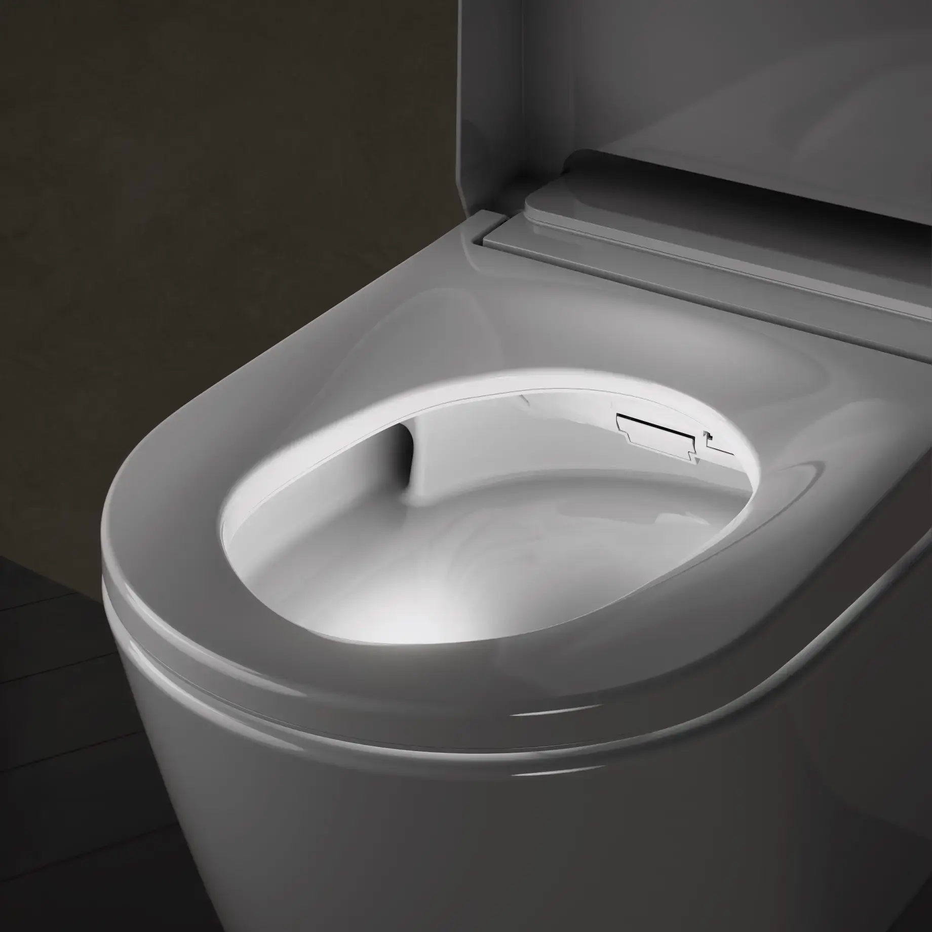 Унітаз-біде підвісний Sensia Pro Hansgrohe 36508SH0 — вид ззаду