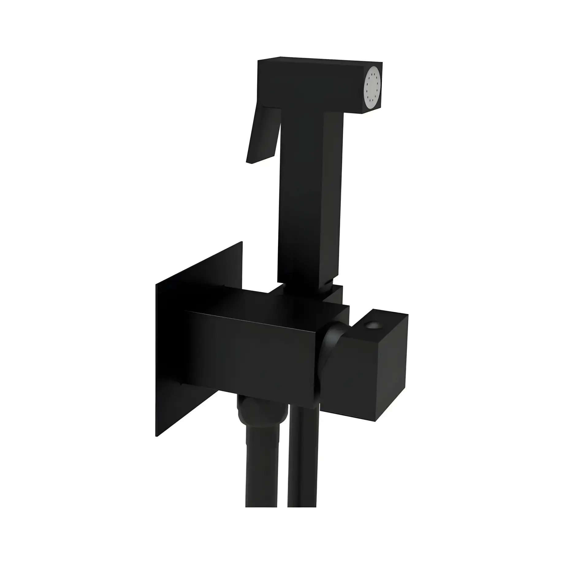 Гігієнічний душ  Tweet Square Mix зі змішувачем та шлангом  ZDUP 112 NO Paffoni ZDUP112NO Matt Black — вид на білому тлі