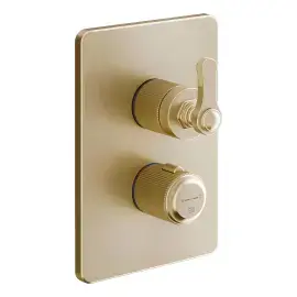 Змішувач для душу Venti20 Gessi 65135-727 Brass Brushed PVD — вид спереду