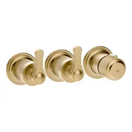 Змішувач для душу Venti20 Gessi 65334-727 Brass Brushed PVD — вид спереду