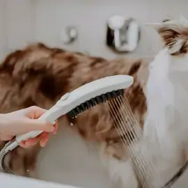 Ручний душ 3jet DogShower Hansgrohe 26640700 White Matt — бічний ракурс