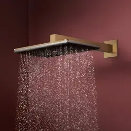Верхній душ 1jet Raindance Alive Q Hansgrohe 24530140 Brushed Bronze — вид спереду