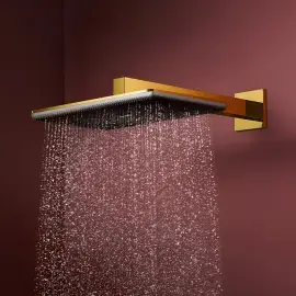 Верхній душ 1jet Raindance Alive Q Hansgrohe 24530990 Polished Gold Optic — вид спереду