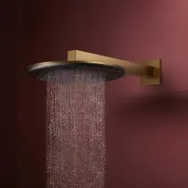 Верхній душ 1jet Raindance Alive S Hansgrohe 24520140 Brushed Bronze — бічний ракурс
