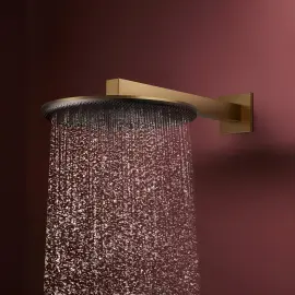 Верхній душ 1jet Raindance Alive S Hansgrohe 24520140 Brushed Bronze — вид спереду
