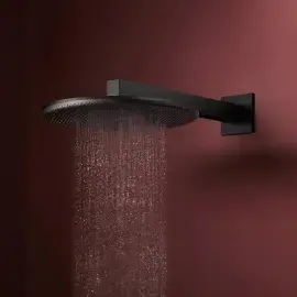 Верхній душ 1jet Raindance Alive S Hansgrohe 24520670 Black Matt — бічний ракурс