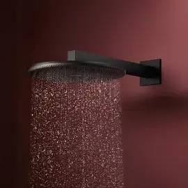 Верхній душ 1jet Raindance Alive S Hansgrohe 24520670 Black Matt — вид спереду