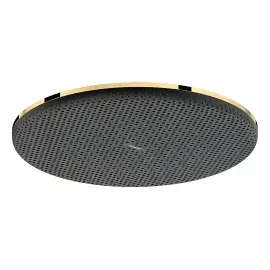 Верхній душ 1jet Raindance Alive S Hansgrohe 24520990 Polished Gold Optic — вид на білому тлі