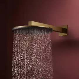 Верхній душ 1jet Raindance Alive S Hansgrohe 24520990 Polished Gold Optic — вид спереду