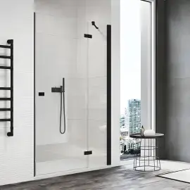 Душові двері з фіксованою стінкою Annea BlackLine Ronal AN13WD12000607 — вид спереду