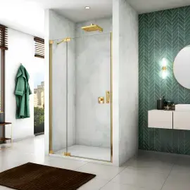 Душові двері з фіксованою стінкою Cadura GoldLine Ronal CA13G1201207 — вид спереду