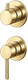 Brushed Brass