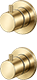 Brushed Brass