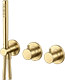 Brushed Brass