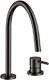 Brushed Black Nickel