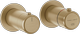 Warm Bronze Br. PVD