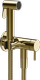 Brass PVD