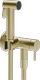 Brass Brushed PVD