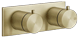 Brass Brushed PVD