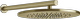 Brass Brushed PVD