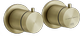 Brass Brushed PVD