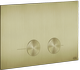 Brass Brushed PVD