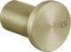 Brass Brushed PVD