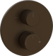 Dark Bronze
