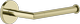 Brass PVD