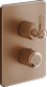 Copper Brushed PVD