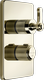 Brass PVD
