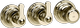Brass PVD