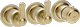 Brass Brushed PVD