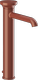 GLOSSY CORAL