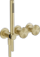 Brass Brushed PVD