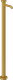 Glossy Ocra