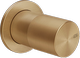 Warm Bronze Br. PVD