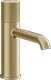 Brass Brushed PVD