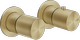 Brass Brushed PVD