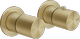 Brass Brushed PVD