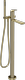 Brass PVD