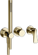 Brass PVD