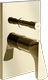 Brass PVD