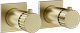 Brass Brushed PVD