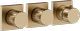Warm Bronze Br. PVD