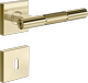 Brass PVD