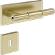Brass Brushed PVD