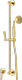 Light Gold